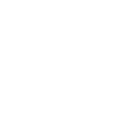 Data Management Systems